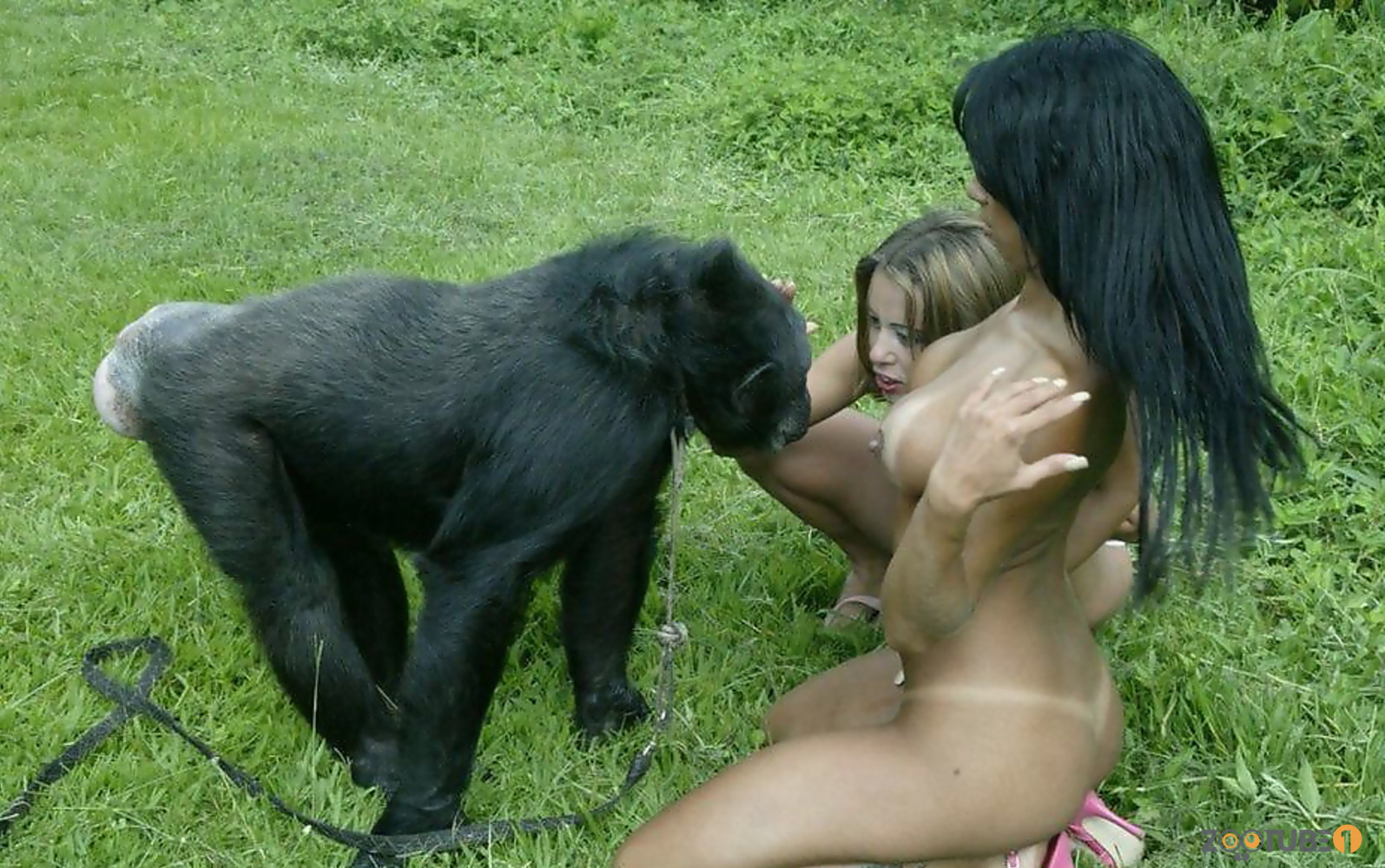 Sex With Monkey.