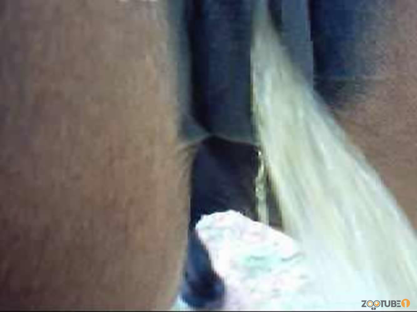 Horse Piss Porn - Horse with big brown ass is pissing in close-up