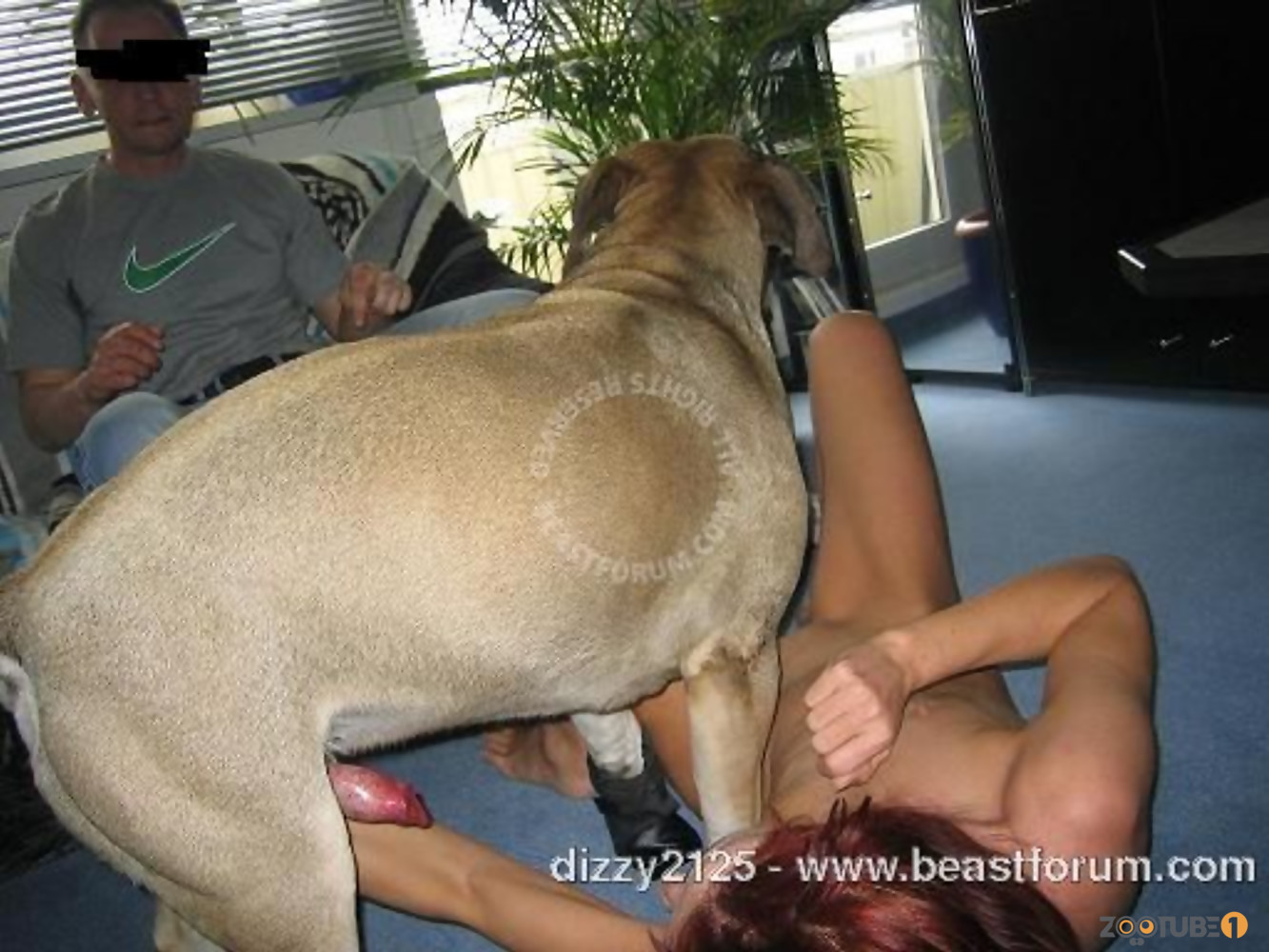 White dog with big balls knows how to bang in a right way / Zoo Tube 1