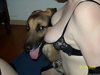 Two filthy zoofils are getting banged by angry dog - picture 9