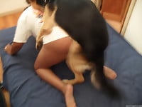 Horny as fuck beast pounds a lusty bitch in the doggy style - picture 6