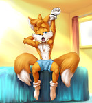 Foxy Miles Tails Al 01 - picture 8