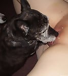 Impressive doggy licks a shaved pussy of a lustful cutie - picture 4