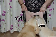 Two playful dogs are having nasty fun with a busty zoofil - picture 3