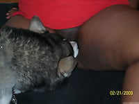 Hound slowly licks a wide-opened pussy of my dirty wife - picture 1