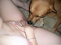 Brown doggy sensually licks a shaved pussy of a passionate dog - picture 9