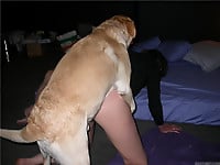 Dog with really huge dick banged a slender female - picture 5