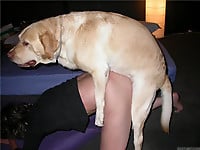 Dog with really huge dick banged a slender female - picture 7