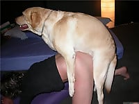 Dog with really huge dick banged a slender female - picture 8