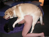 Dog with really huge dick banged a slender female - picture 10
