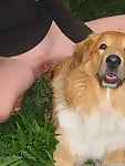 Female zoophile is sucking her doggy's cock on the grass - picture 1