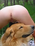 Female zoophile is sucking her doggy's cock on the grass - picture 2