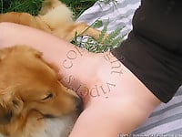Female zoophile is sucking her doggy's cock on the grass - picture 6