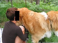 Female zoophile is sucking her doggy's cock on the grass - picture 10