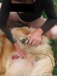 Female zoophile is sucking her doggy's cock on the grass - picture 13