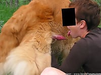 Female zoophile is sucking her doggy's cock on the grass - picture 16