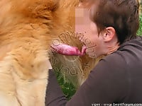 Female zoophile is sucking her doggy's cock on the grass - picture 17