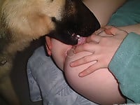Amateur oral bestiality action with a trained beast - picture 7