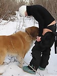 Very big dog with massive dong bangs my wife on snow - picture 1