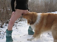 Very big dog with massive dong bangs my wife on snow - picture 17