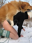 Very big dog with massive dong bangs my wife on snow - picture 21