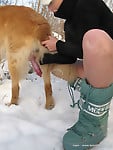 Very big dog with massive dong bangs my wife on snow - picture 24