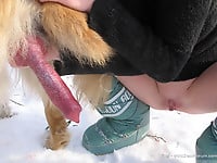 Very big dog with massive dong bangs my wife on snow - picture 26
