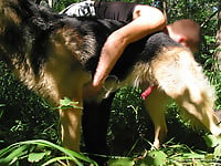 Gorgeous and natural bestiality action with trained beast - picture 21