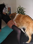Masked bitch in black stockings gets her pussy licked by dog - picture 17
