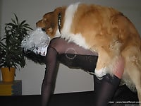 Masked bitch in black stockings gets her pussy licked by dog - picture 19