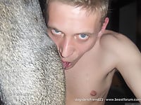Male zoophile is sucking a doggy dick with pleasure and love - picture 2