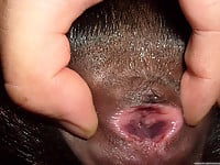 This doggy's tight anal hole looks so attractive - picture 6