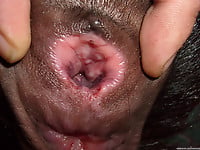This doggy's tight anal hole looks so attractive - picture 7