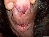 This doggy's tight anal hole looks so attractive - picture 9