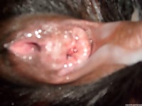 This doggy's tight anal hole looks so attractive - picture 25