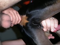 Sticking my black sex toy in pony's tight anal hole - picture 7