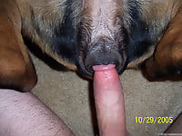 Man zoophile pleases his lovely doggy in the nastiest way - picture 8
