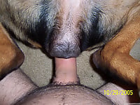 Man zoophile pleases his lovely doggy in the nastiest way - picture 10