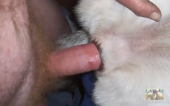 White doggy with tight anal hole deserves my boner - picture 3
