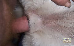 White doggy with tight anal hole deserves my boner - picture 4