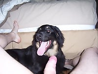 The sexiest black dog gives me a very good blowjob - picture 4