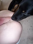 The sexiest black dog gives me a very good blowjob - picture 8