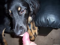 The sexiest black dog gives me a very good blowjob - picture 9