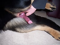 The sexiest black dog gives me a very good blowjob - picture 12