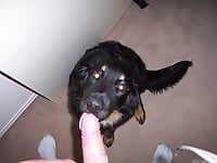 The sexiest black dog gives me a very good blowjob - picture 15