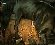 Brutal black stallion nicely bangs a brown cow from behind - picture 3
