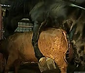 Brutal black stallion nicely bangs a brown cow from behind - picture 8