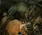 Brutal black stallion nicely bangs a brown cow from behind - picture 17