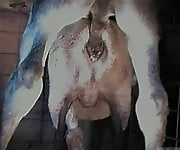 Hardcore farm bestiality of two stallions ends with a cumshot - picture 18