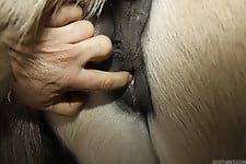 Sex with white pony and black doggy in the bedroom - picture 2